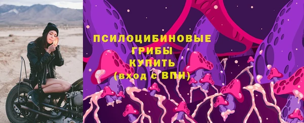 винт Вяземский