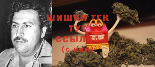 гашик Вязники